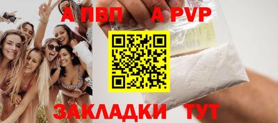 СК Кингисепп