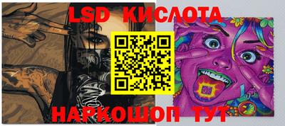 СК Кингисепп