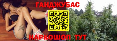 шишки Коммунар