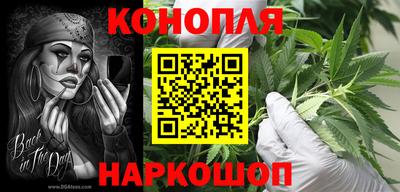 шишки Коммунар