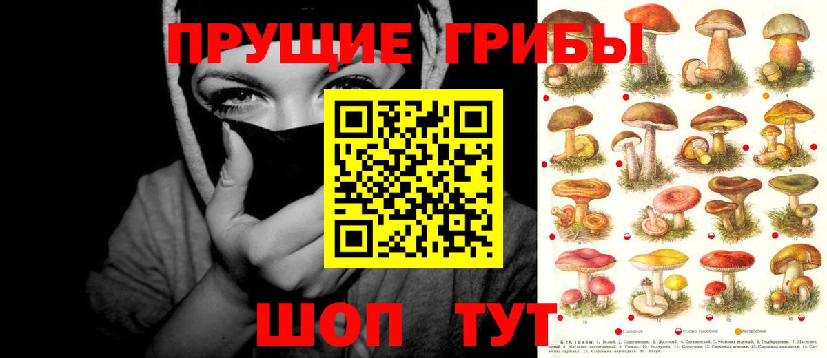 Псилоцибиновые грибы ЛСД  что такое   Красный Сулин  Вход с VPN 