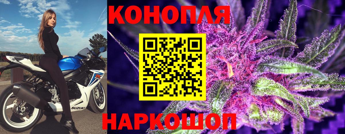 Шишки марихуана White Widow Красный Сулин